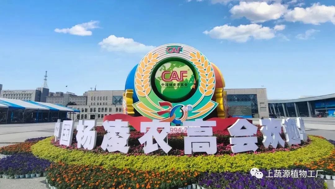 【上蔬源】受邀出席杨凌农高会未来农业产业发展大会