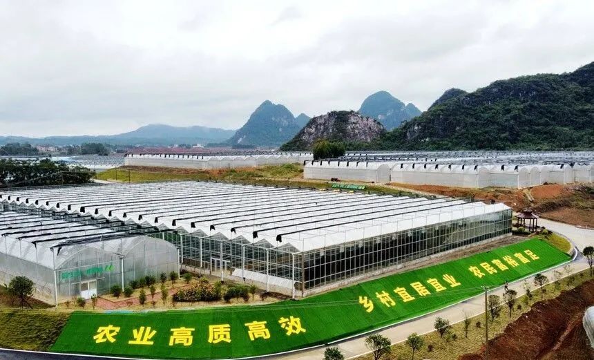 “农投”是什么来头？政府成立农投公司投资现代农业靠谱吗？
