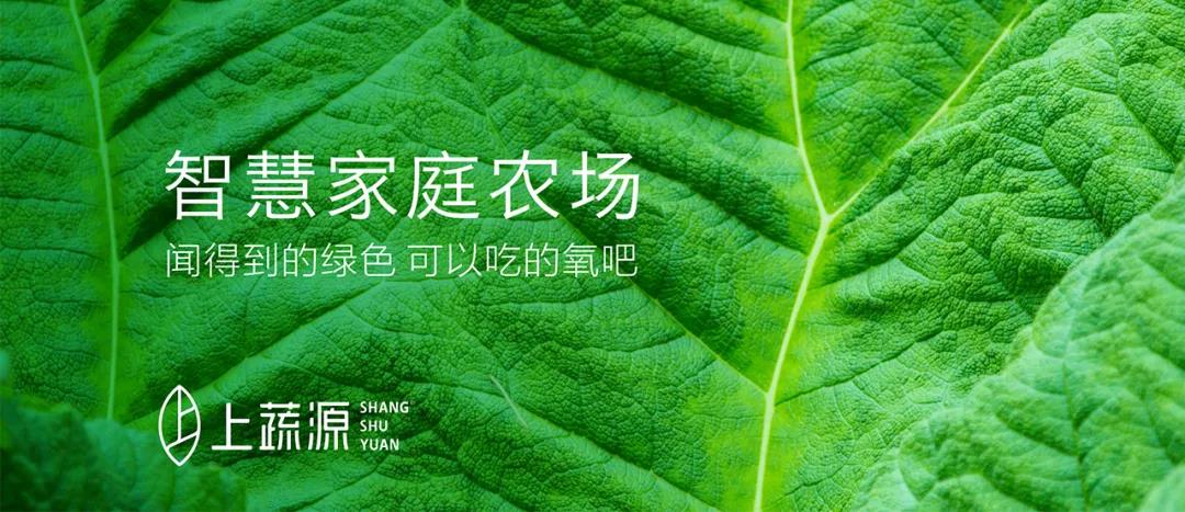 上蔬源闪耀正定古城 用科技缔造美好生活