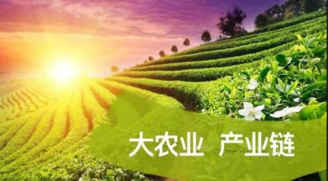 【政策】支持形成农业产业化联合体，打造“一纵一横”农业全产业链