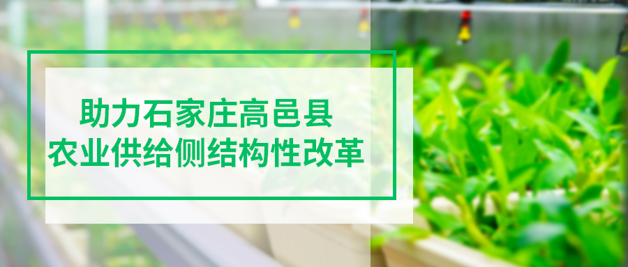[上蔬源]助力石家庄高邑县农业供给侧结构性改革