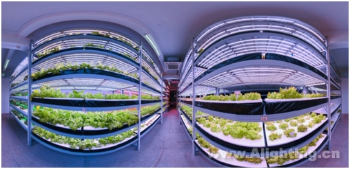 [植物工厂、智慧农业、功能食品]已成为未来农业科技三个突破点