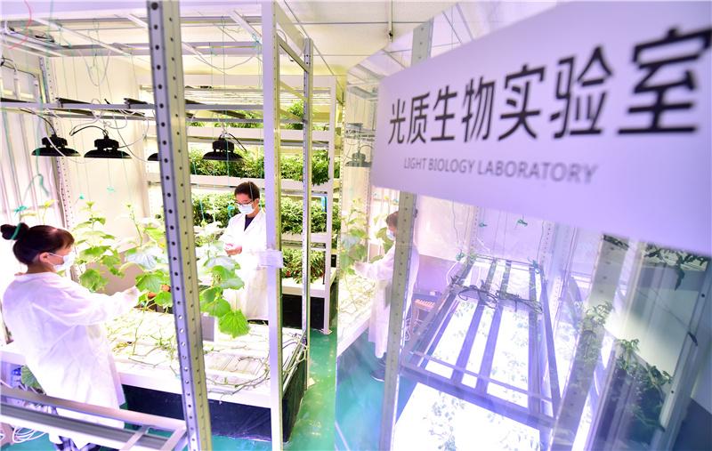 新华社:[上蔬源]科技助力智慧农业