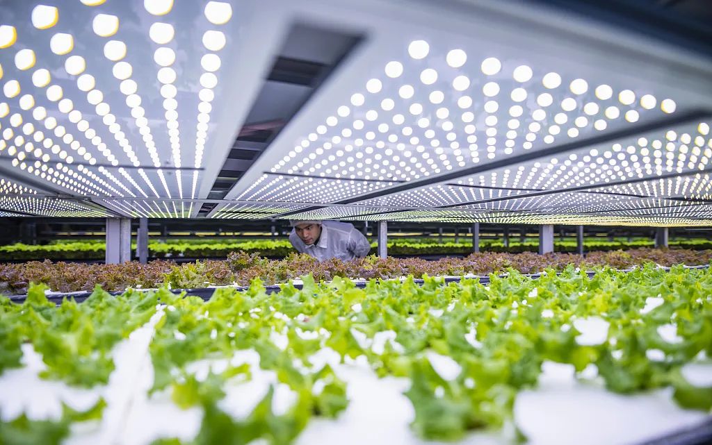植物工厂—为颠覆未来生活而来