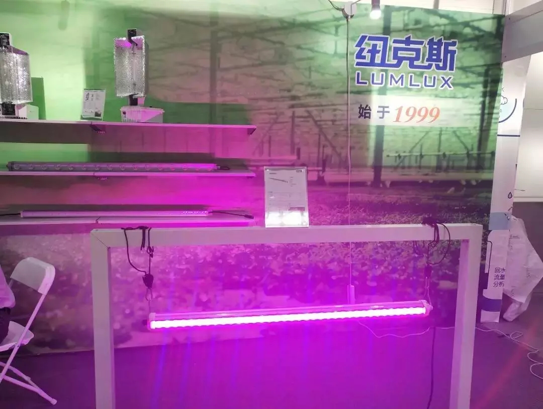 纽克斯株间植物灯