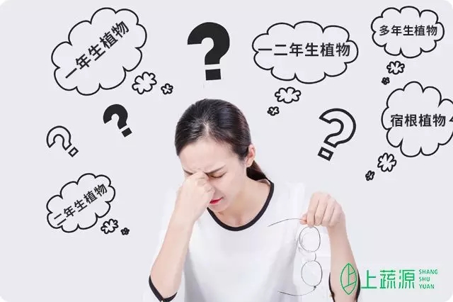 植物几年生？