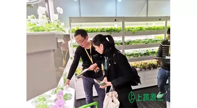 展会