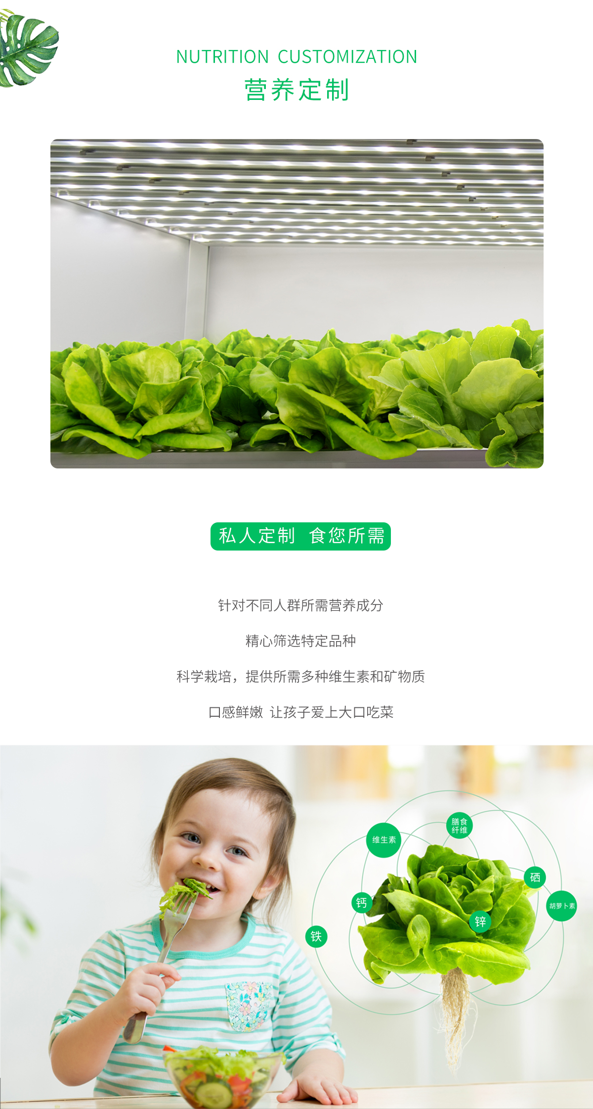 营养定制