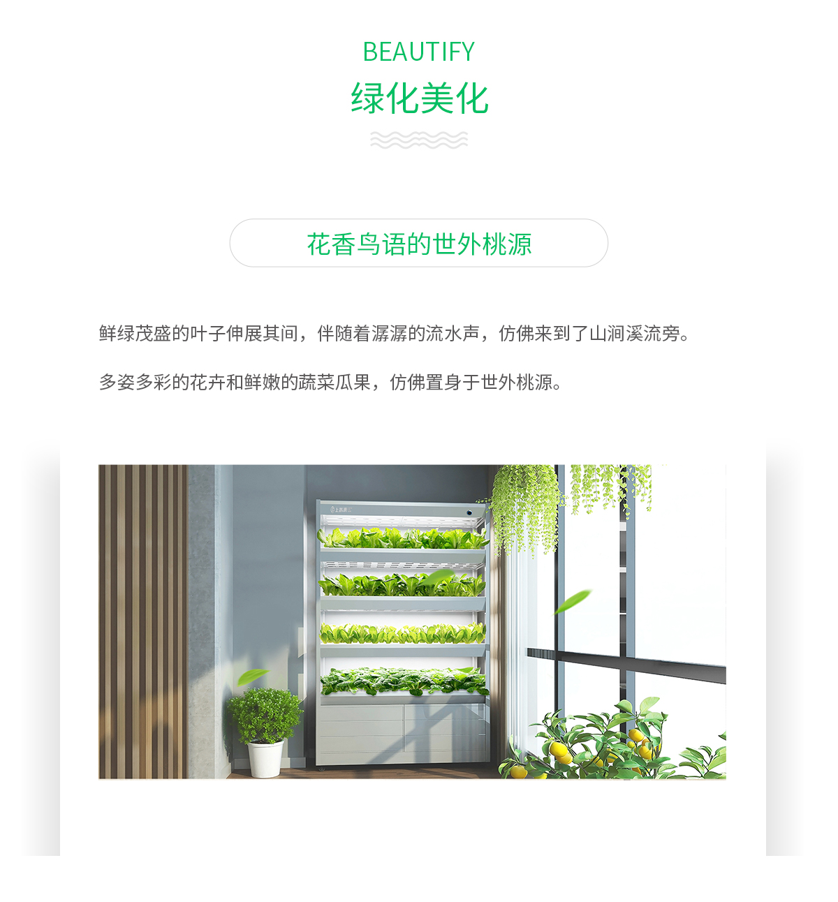 绿化美化