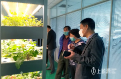 国家中药材产业体系岗位科学家温春秀教授一行参观考察“上蔬源”